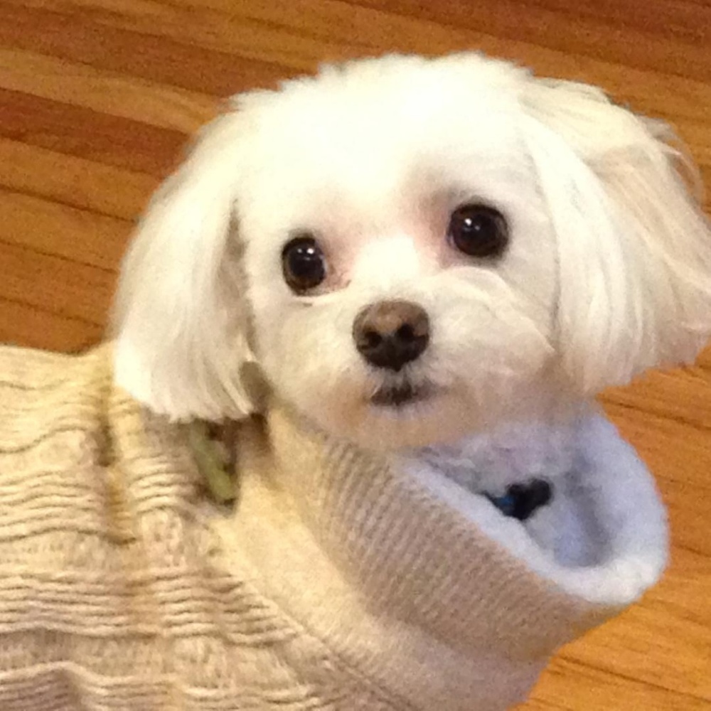 Hi! Some things you might like to know🌿